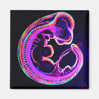 Fluorescent embryo glowing in the dark