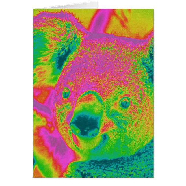 fluorescent koala bears (Front)