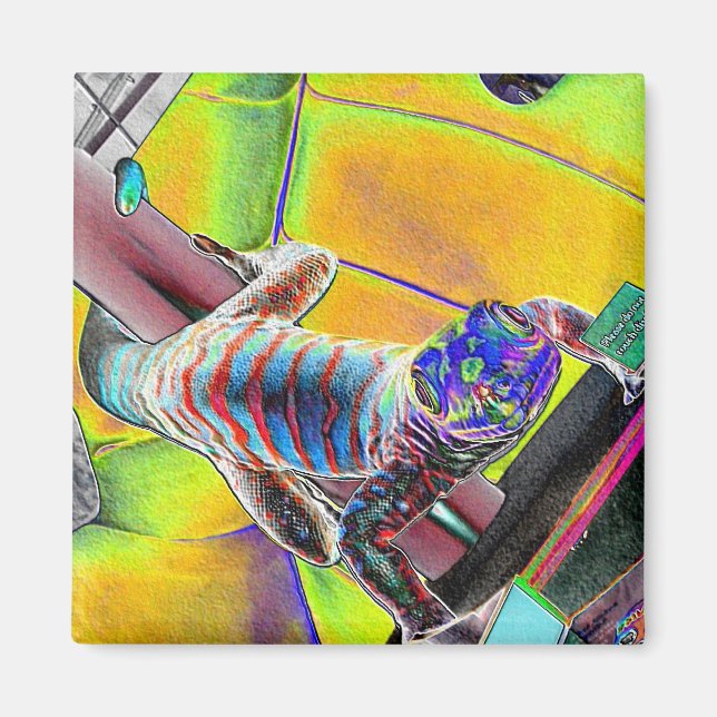 Fluorescent Lizard Magnet (Front)