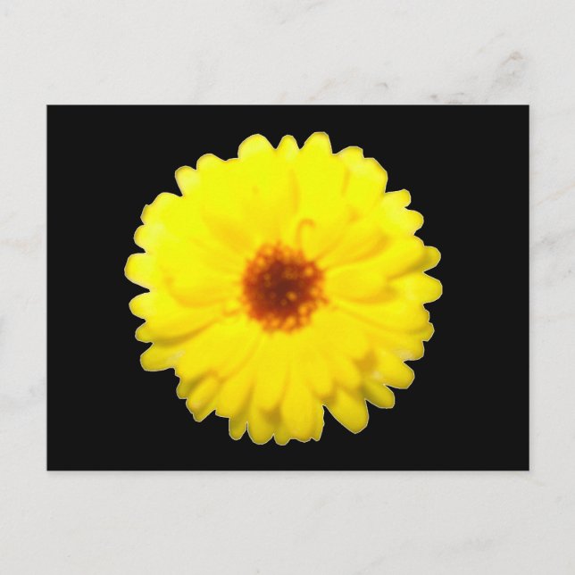 Fluorescent Marigold Postcard (Front)