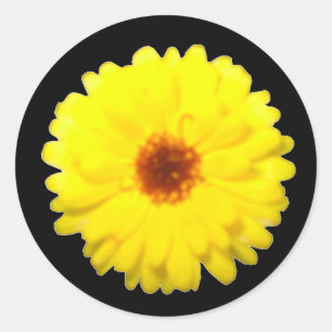 Fluorescent Marigold Sticker