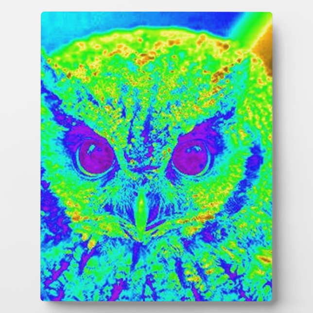 fluorescent owl plaque (Front)