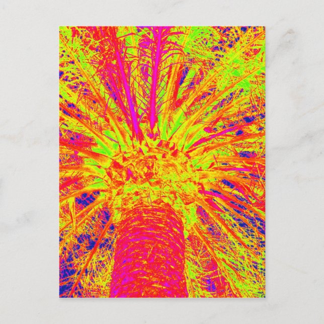 fluorescent palm postcard (Front)