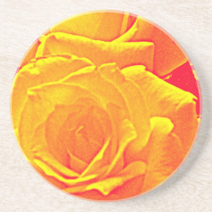 fluorescent rose orange coaster