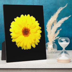 Fluorescent Yellow Marigold Plaque