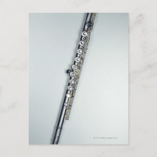 Flute 3 postcard