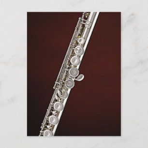 Flute Flutist Musician Postcard