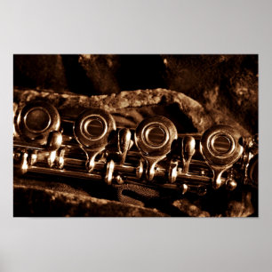 Flute Photo Poster