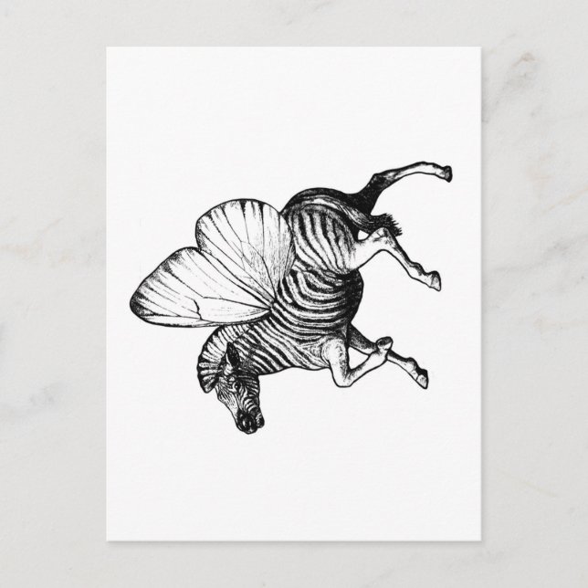 Flutter Zebra Postcard (Front)