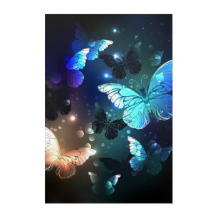 Fluttering Night Butterfly Acrylic Print