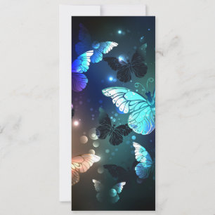 Fluttering Night Butterfly Announcement