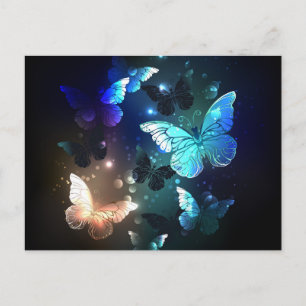 Fluttering Night Butterfly Announcement Postcard