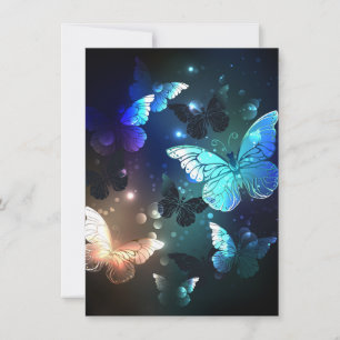 Fluttering Night Butterfly Holiday Card