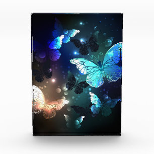 Fluttering Night Butterfly Photo Block