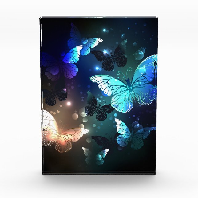 Fluttering Night Butterfly Photo Block (Front)