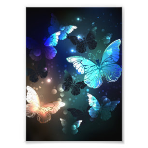 Fluttering Night Butterfly Photo Print