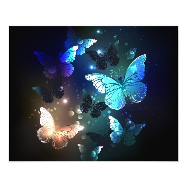 Fluttering Night Butterfly Photo Print (Front)