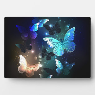 Fluttering Night Butterfly Plaque
