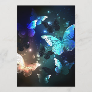 Fluttering Night Butterfly Program