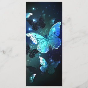 Fluttering Night Butterfly Program