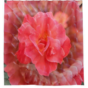 Fluttering Petals....