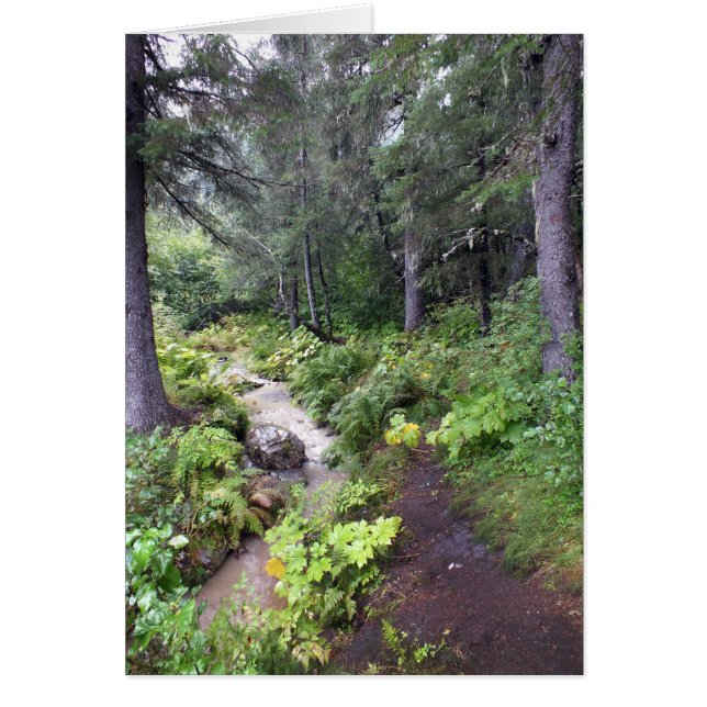 Flux Alaska (Devant)