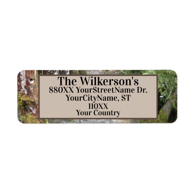 Flux dans une forêt du Pacifique Nord-Ouest (Devant)