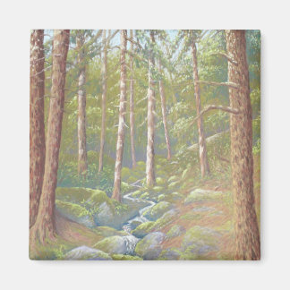 Flux de bois, District de pic dans Pastel Magnet