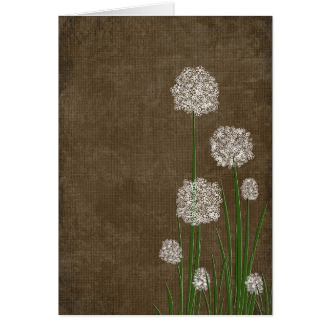 Flux de fleurs (Devant)