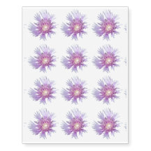 Flux de fleurs d'aster de Stokes bleus