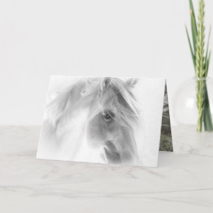 Flux d'étalon blanc - Carte de voeux de cheval