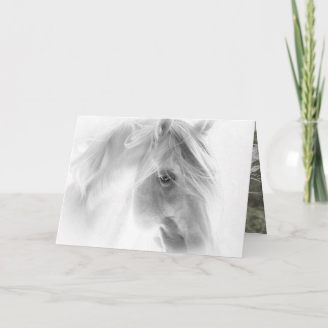 Flux d'étalon blanc - Carte de voeux de cheval (Devant)