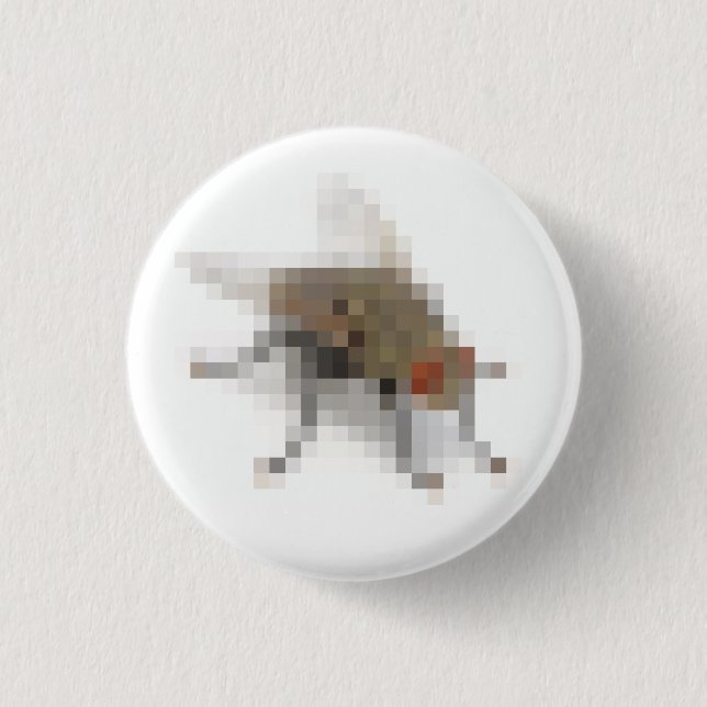Fly. 1 Inch Round Button (Front)