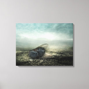 Fly 2013 canvas print