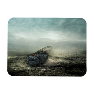Fly 2013 magnet