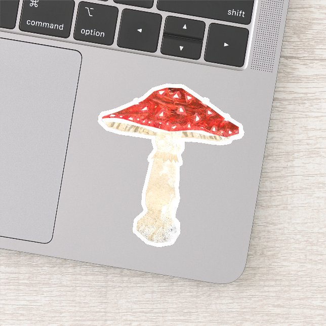 Fly agaric (Detail)