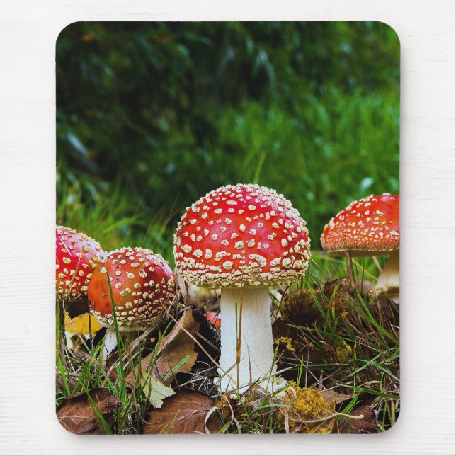 Fly agaric mouse pad (Front)