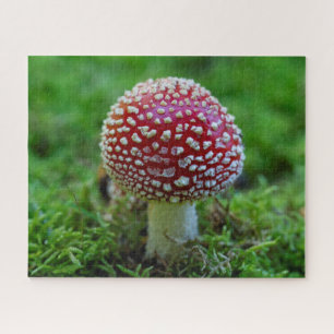Fly Agaric Mushroom Jigsaw Puzzle