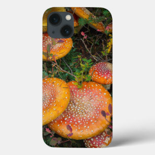 Fly agaric mushrooms at Mowich Lake iPhone 13 Case