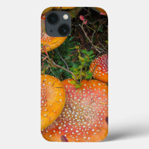 Fly agaric mushrooms at Mowich Lake iPhone 13 Case