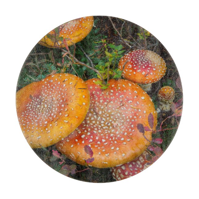 Fly agaric mushrooms at Mowich Lake Cutting Board (Front)