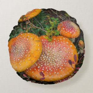 Fly agaric mushrooms at Mowich Lake Round Pillow