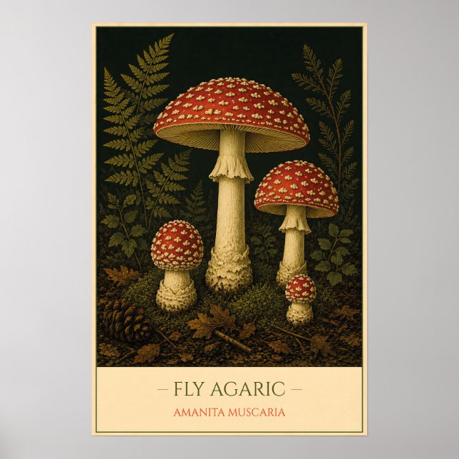 Fly Agaric Poster (Front)