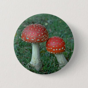 Fly agarics (Amanita muscaria) 2 Inch Round Button