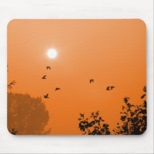 Fly at dawn Mousepad