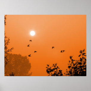 Fly at dawn Print