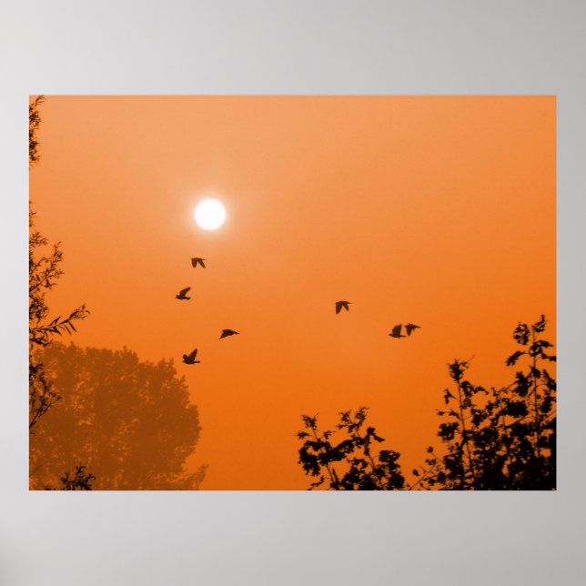 Fly at dawn Print (Front)