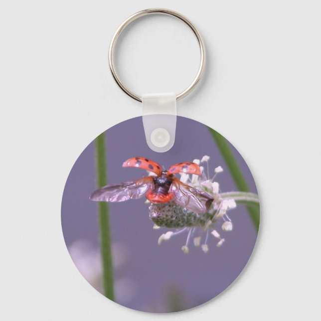 Fly away home keychain (Front)