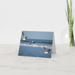 Fly Away/ Note card