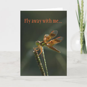 Fly Away with me Dragonfly Valentine Holiday Card